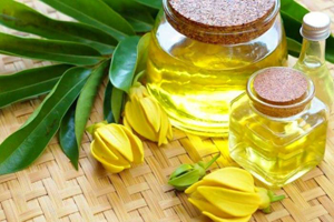 روغن مو فر یلانگ یلانگ